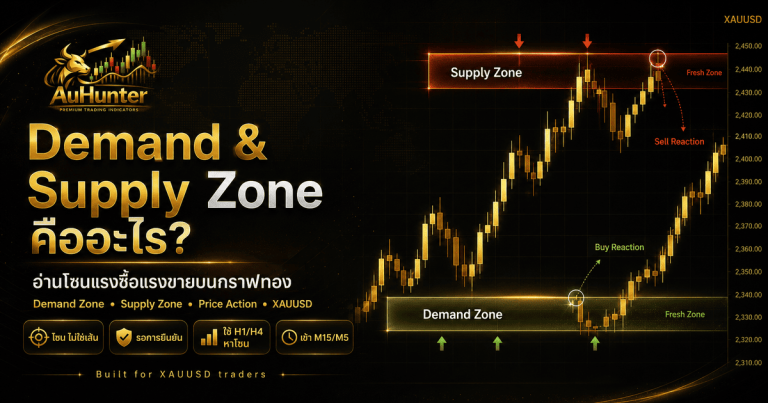 demand supply คือ